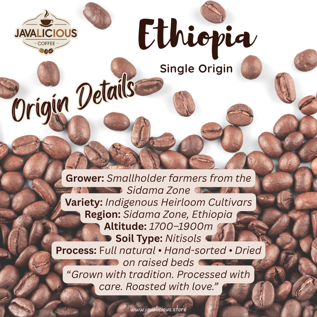Javalicious Ethiopia Natural Single Origin Coffee Bean, Originates