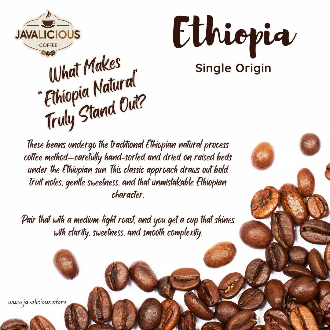 Javalicious Ethiopia Natural Single Origin Coffee Bean, What Makes Ethiopia Truly Stands Out