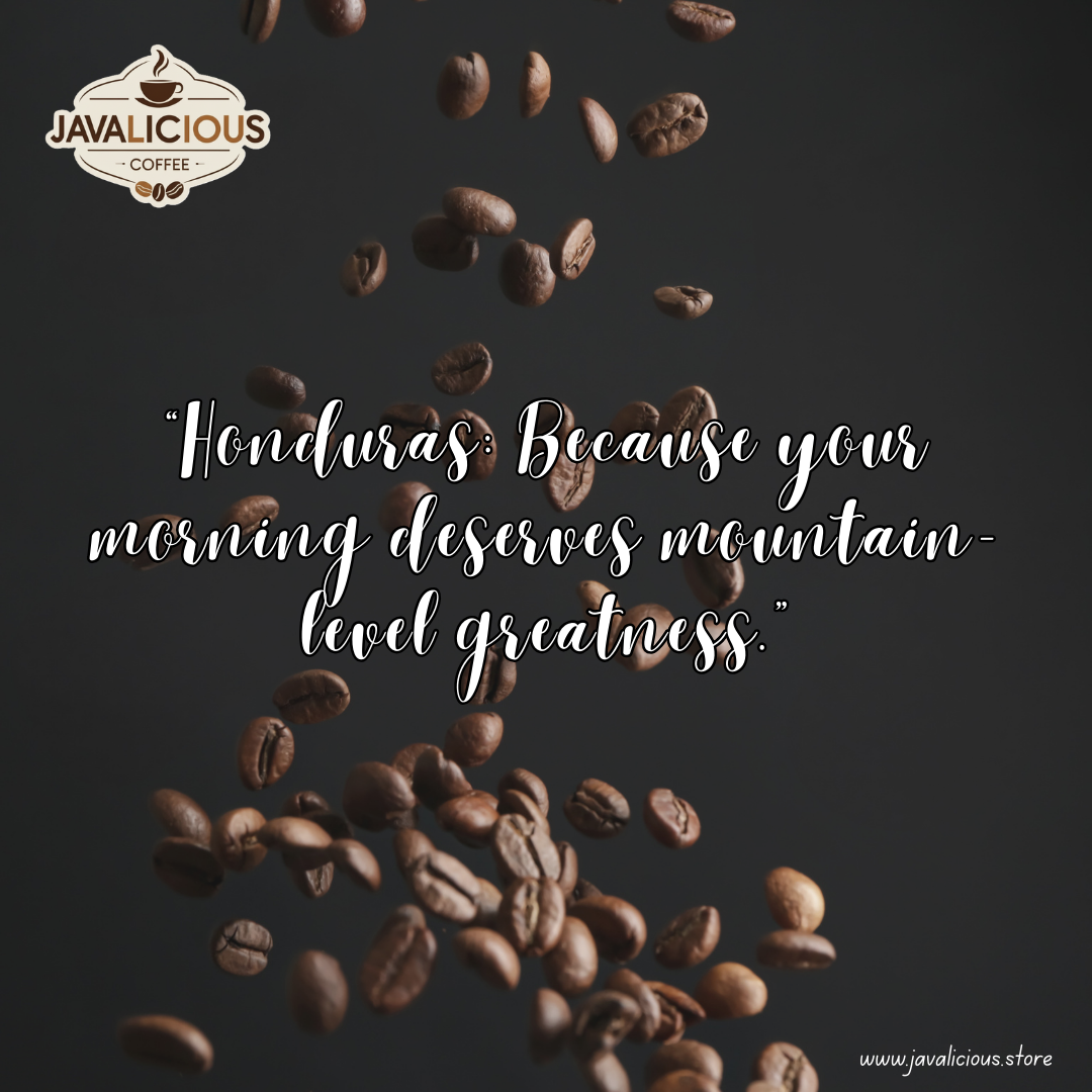 Javalicious Honduras Single Origin, Witty Lines