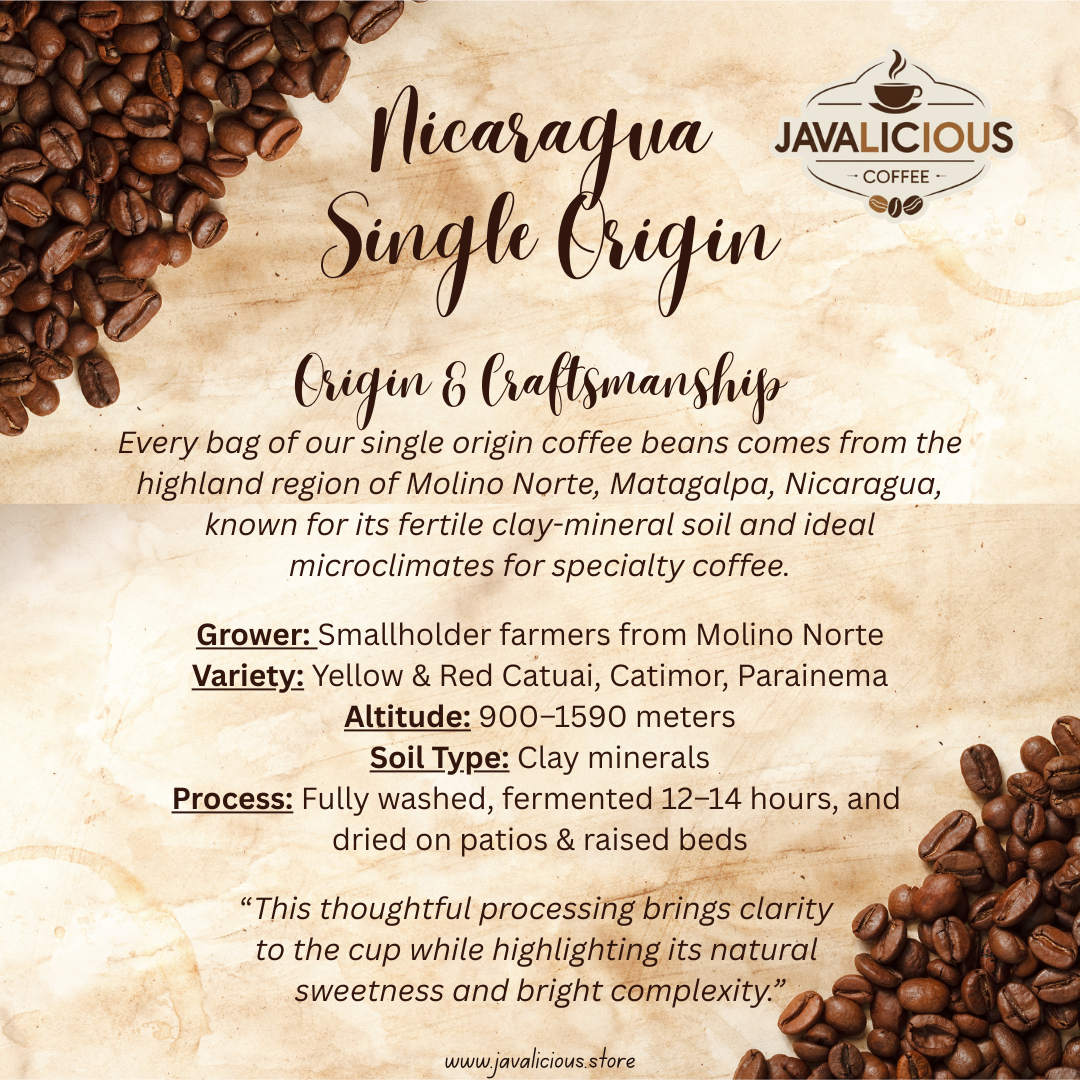 Javalicious Nicaragua Single Origin Coffee, Originate
