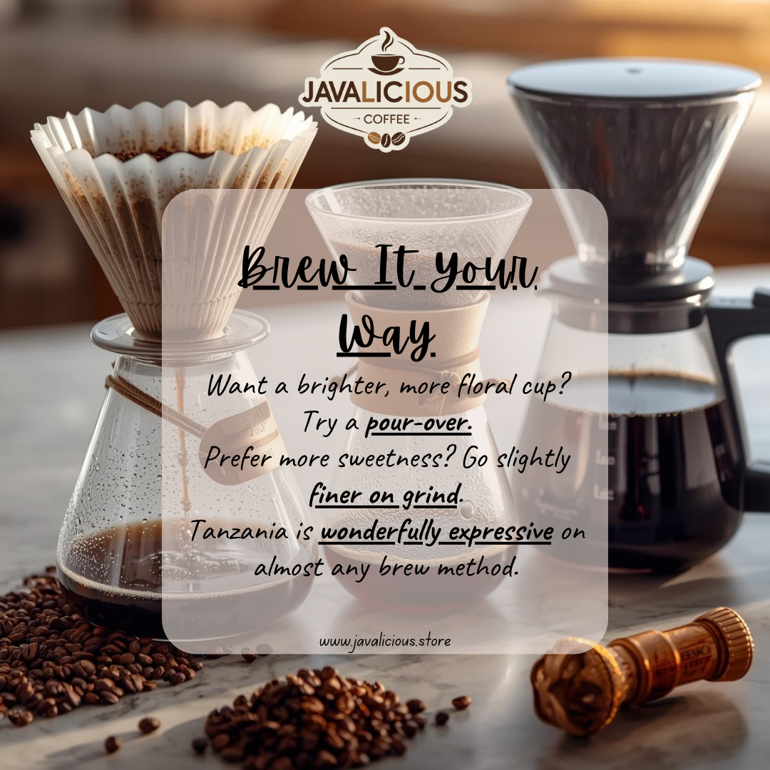 Tanzania Single Origin Coffee: Serengeti in Your Cup