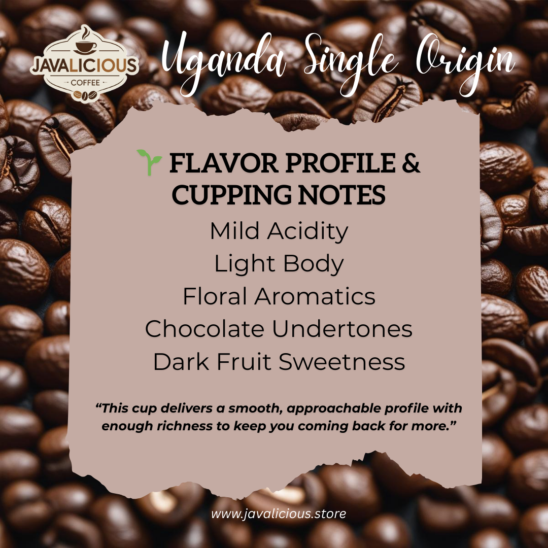 Javalicious Uganda Single Origin Coffee, Flavor Profile