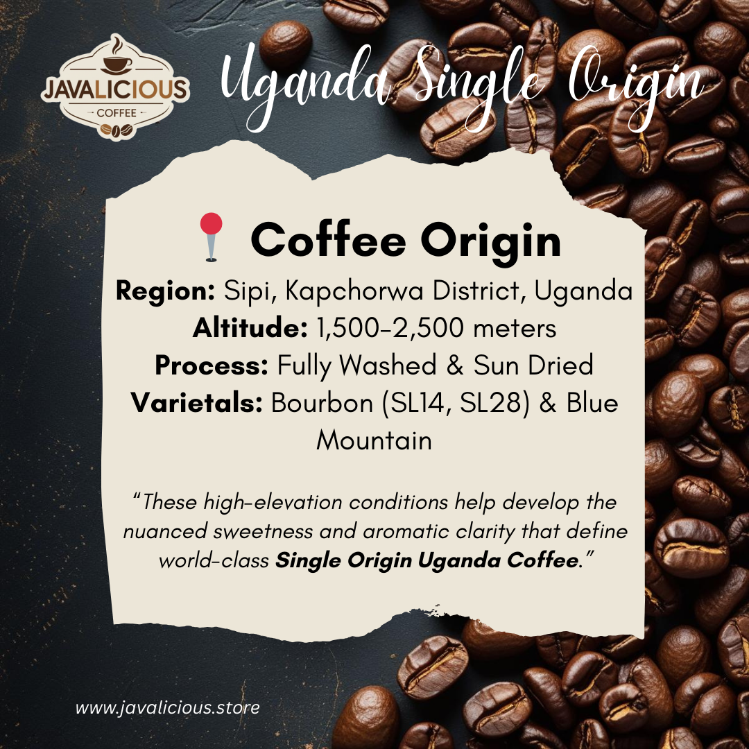 Javalicious Uganda Single Origin Coffee, Originate